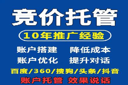 SEM托管公司案例：优化与增长