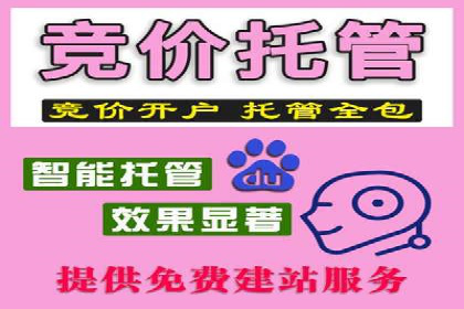 某企业通过百度SEM实现ROI最大化的案例